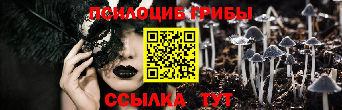 Назарово  Галлюциногенные грибы мухоморы  Вход с VPN 